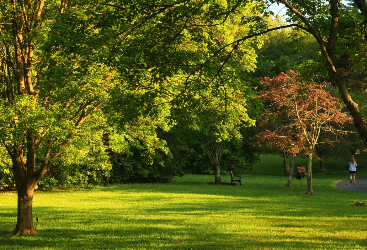 Morristown Green